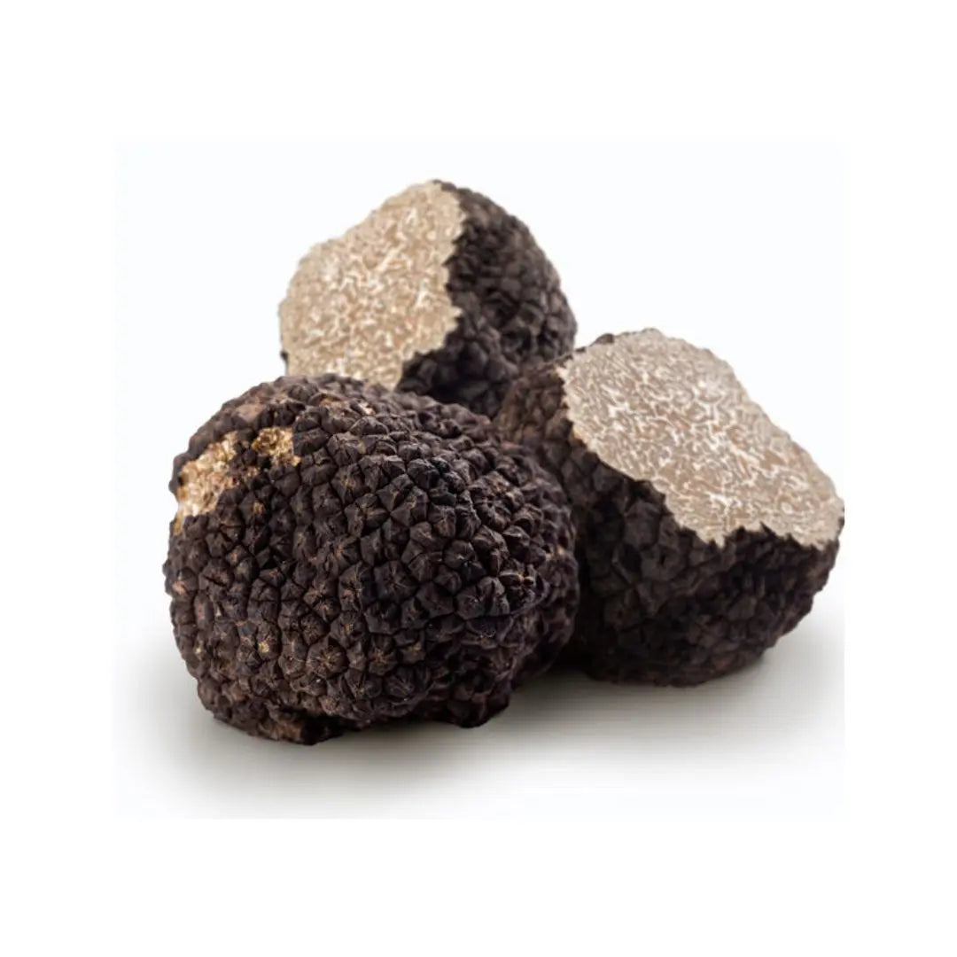 Tuber Aestivum Sommertrüffel 10gr Gourmeza