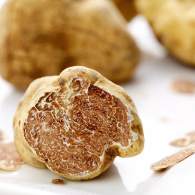 Aufgeschnittener weißer Alba-Trüffel (Tuber magnatum pico) mit fein marmoriertem Fleisch, daneben hauchdünn gehobelte Scheiben