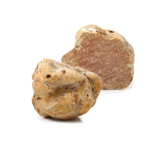 Bianchetto-Trüffel 10g