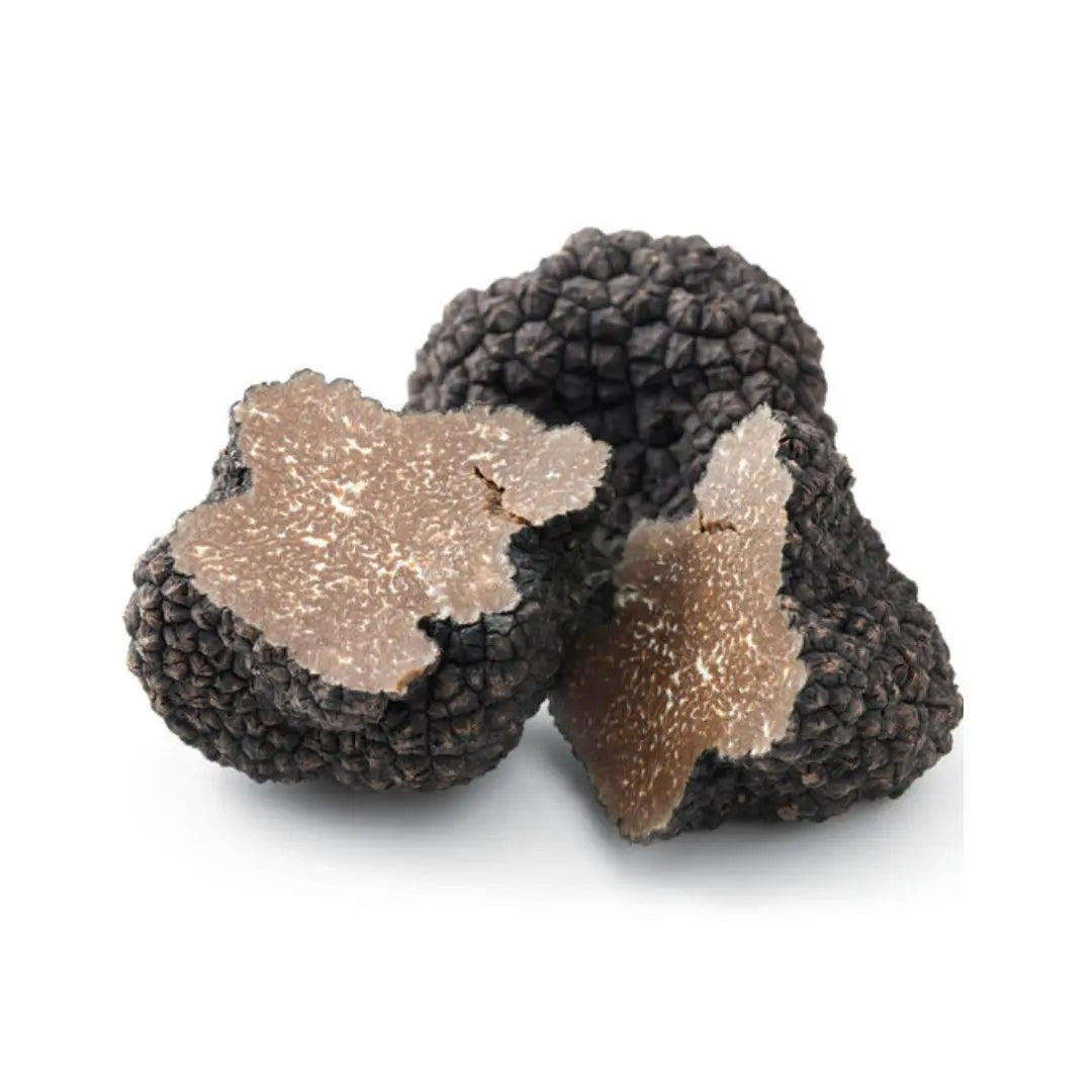 Tuber Uncinatum — Burgundertrüffel 10gr Gourmeza
